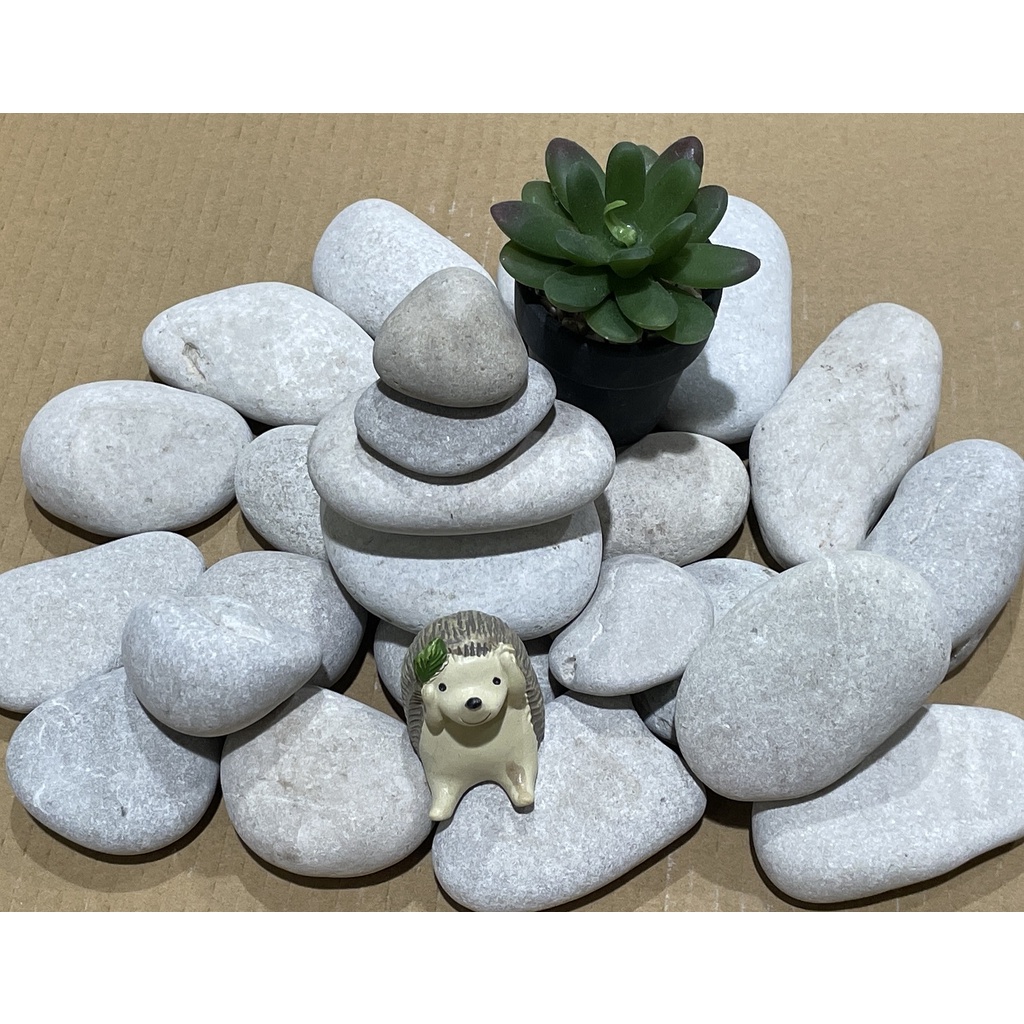 Buy pebbles Products At Sale Prices Online - August 2026 | Shopee Singapore
