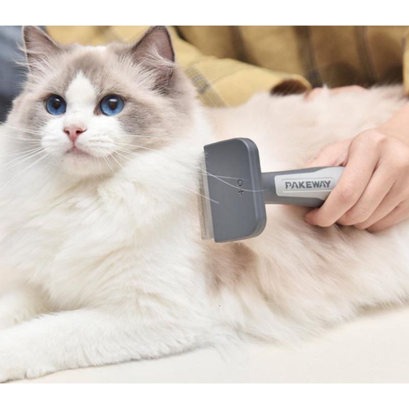 Long Haired Best Comb For Ragdoll Cat Brushing A Ragdoll Cat Dog