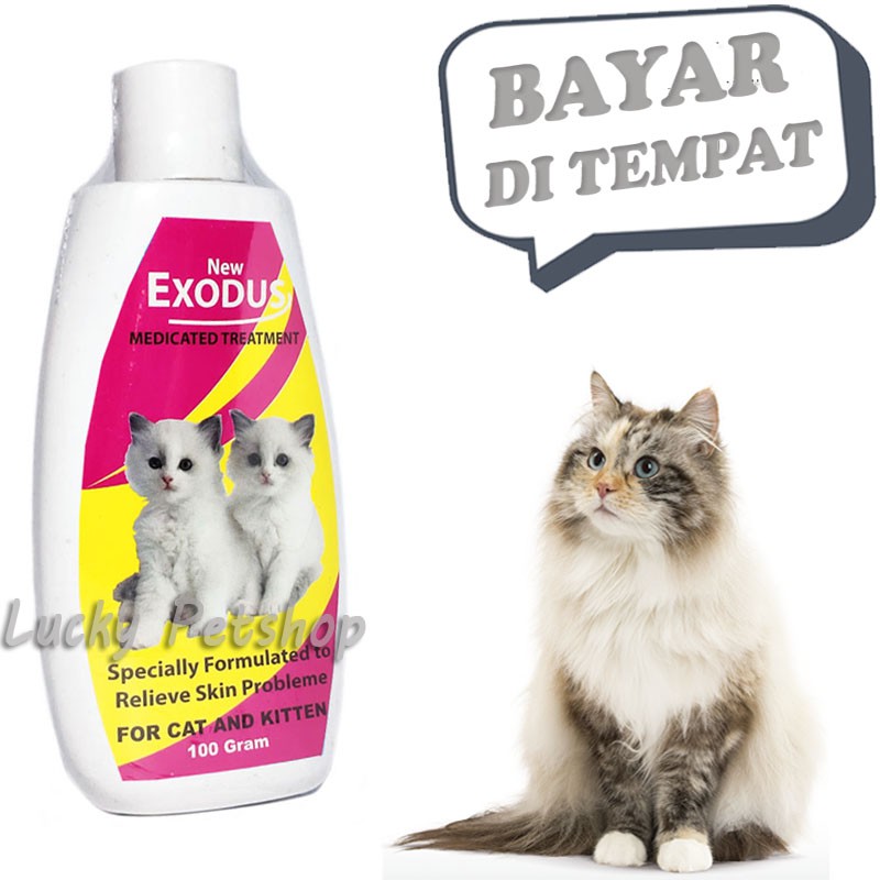 Exodus MEDICATED ANTIFungal Cat Powder Shopee Singapore