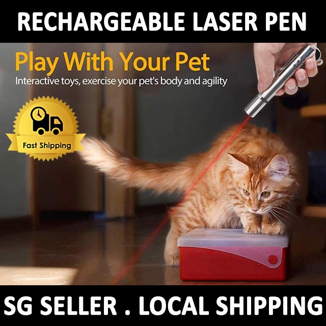 TPE145 Laser Point Cat Toy USB Rechargable Flash Light | Shopee Singapore