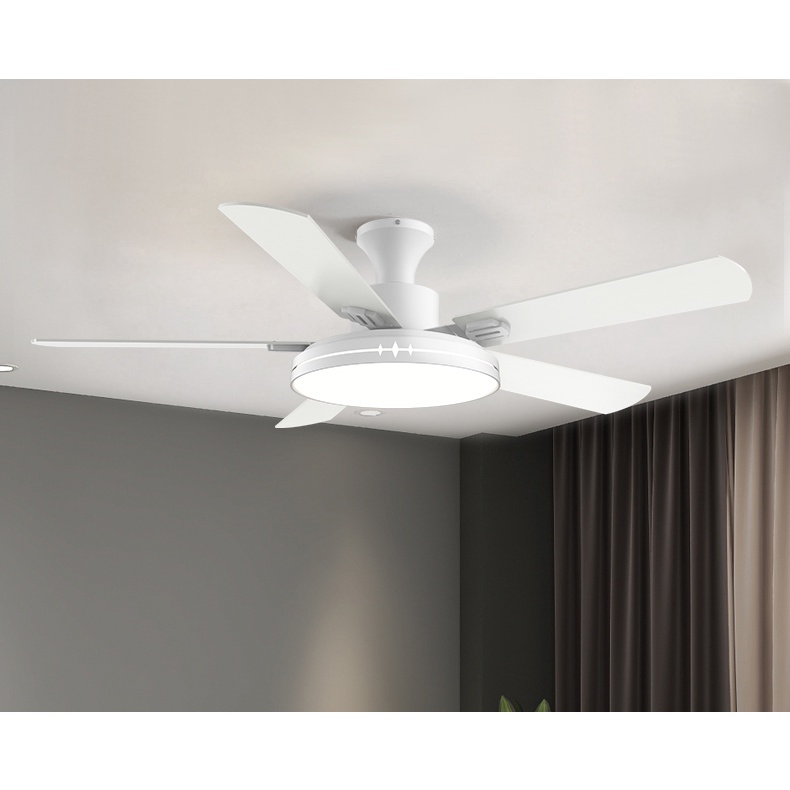 Ceiling Fan Lights With Remote Control