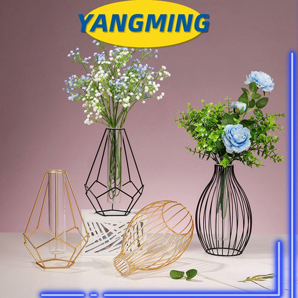 YANGMING Craft Iron Art Vase Nordic Styles Glass Test Tube Hydroponic Flower Vase Gift Terrarium Metal Holder Home Decoration Desktop Ornament Geometric Line Frame Multicolor