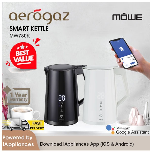 Electric tea kettle with temperature outlet control