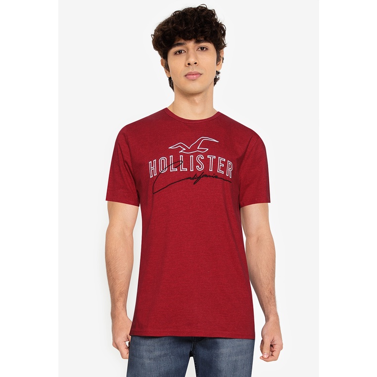 Hollister Large Scale Technique T Shirt Shopee Singapore