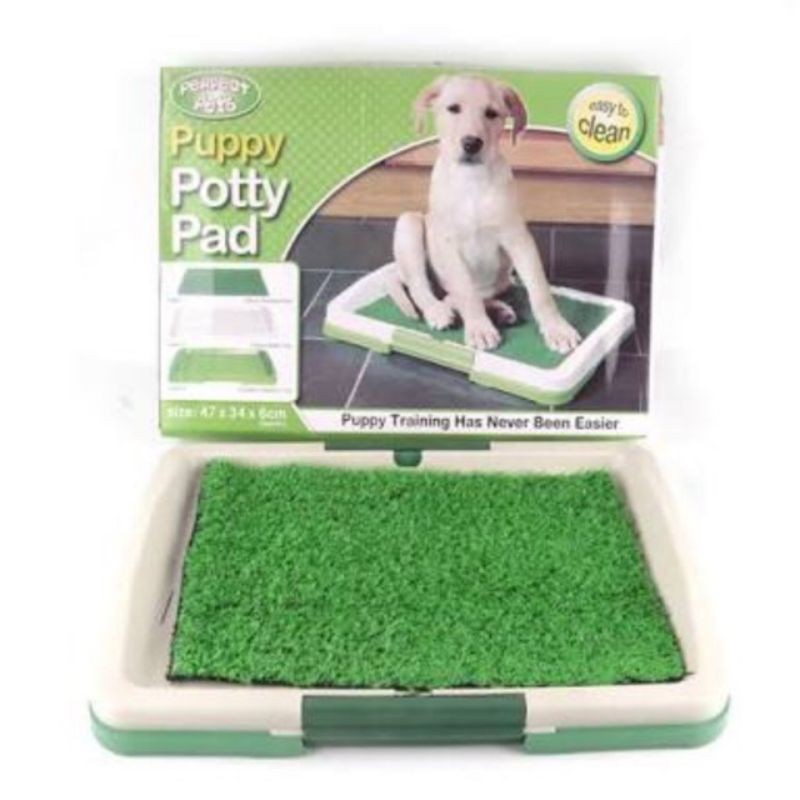 Dog Poop Pee Tray / Dog Potty Place Shopee Singapore