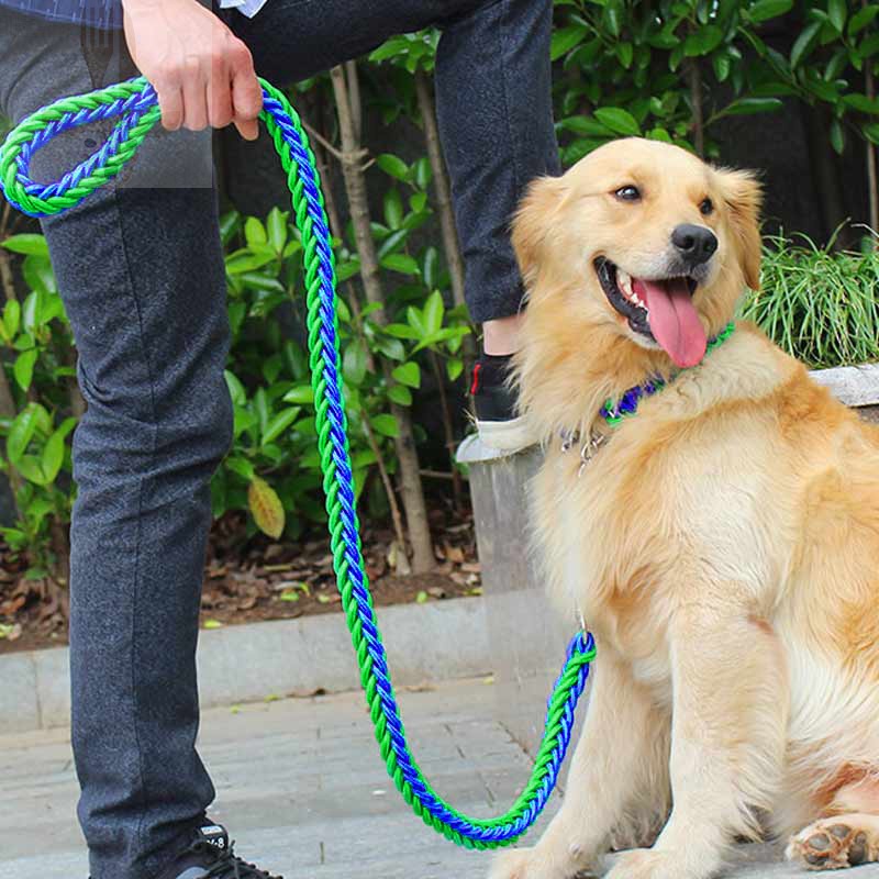 Dog Collar Strong Traction Rope Leashes Traction Rope Collar Set Nylon