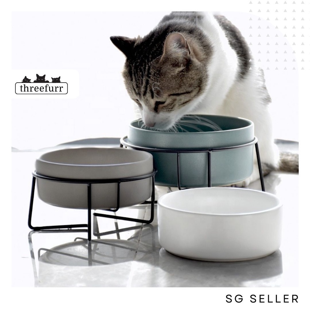 SG Seller Pet Feeding Bowl Elevated Cat Bowl Ceramic Pet Bowl with Stand Mattey Pet Bowl Fast Delivery Shopee Singapore