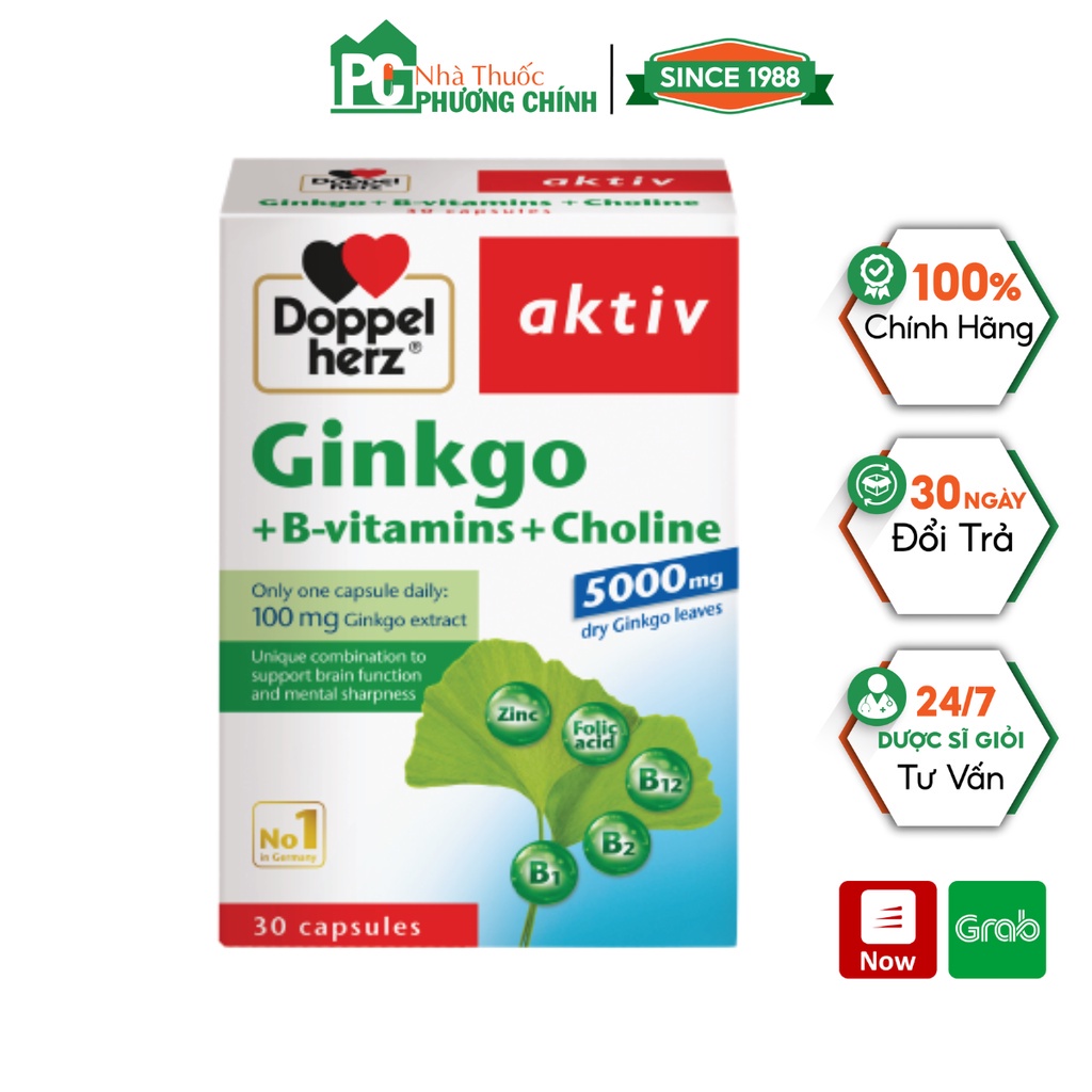 Doppelherz Ginkgo + BVitamins + Choline Brain Supplements Help