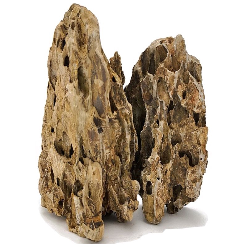 Aquarium rock.1/3/5kg Cheapest Aquascape rock.5 to 20cm Seiryu & Dragon