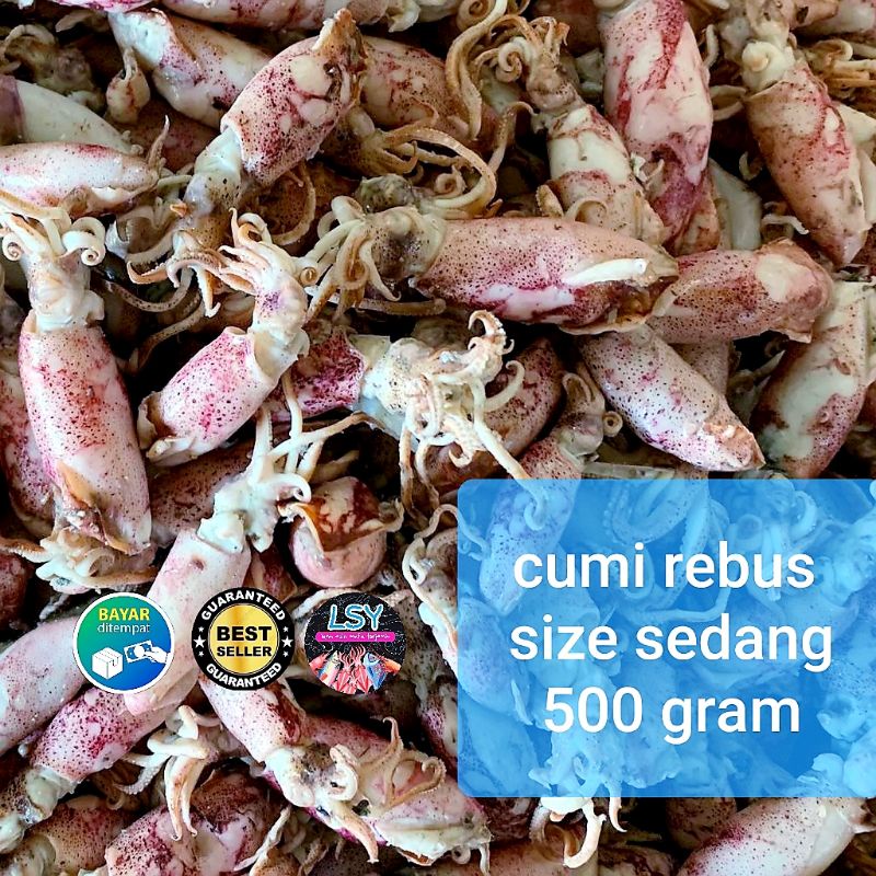 Salted fish Boiled squid/boiled cuttlefish medium size 500gr | Shopee ...
