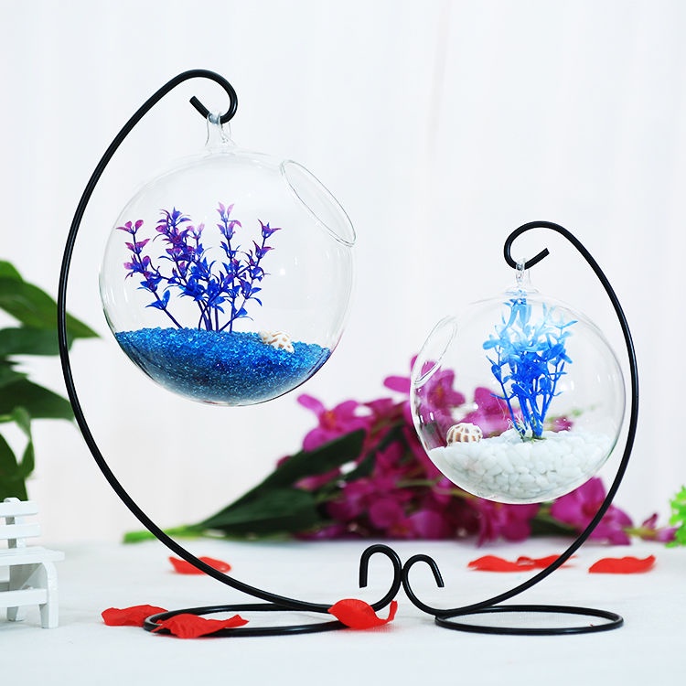 Betta Tank Glass Small Ecological Hanging Fish Tank Decoration ...