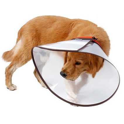 large breed dog XXXL Pet cat Dog E-Collar Elizabethan colla e collar
