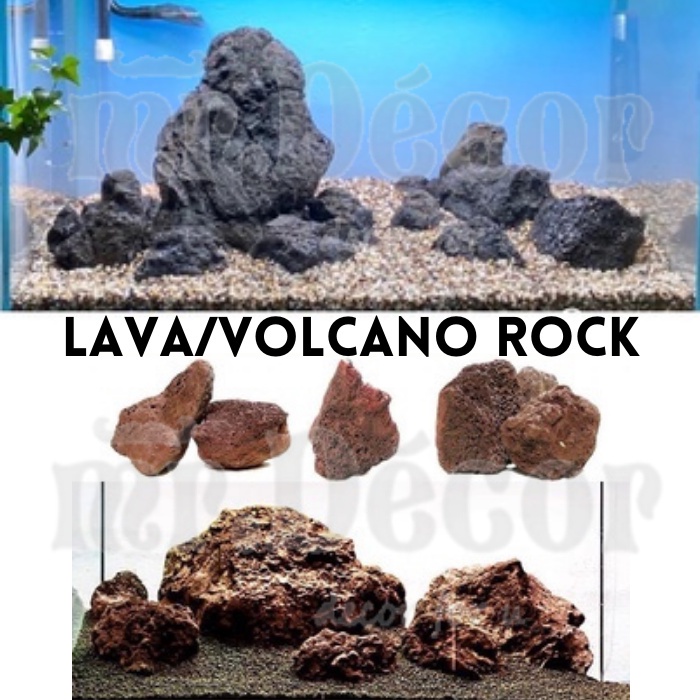 1kg Lava Rock Aquarium Aquascaping Big Stone 火山石 | Shopee Singapore