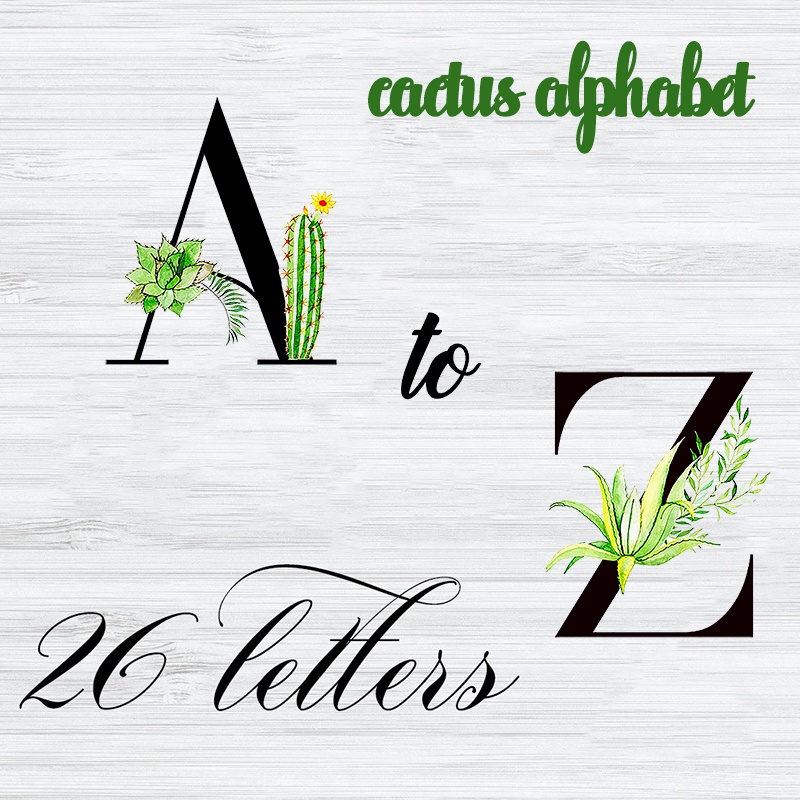 Cactus Letter Flower Patch Iron on Transfer for Clothing English ...