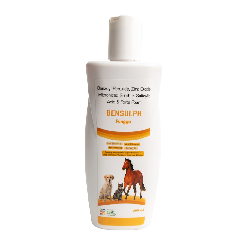 Salicylic acid dog fashion shampoo