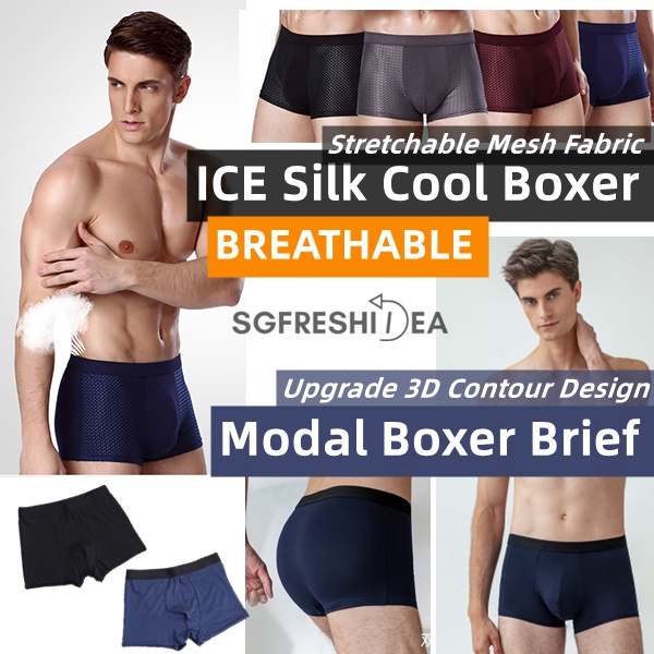 Ice Silk Men Underwear Man Boxer Short Mens Brief Shorts Boxers Briefs Cooling Sports Trunks Under Pants Bamboo Cotton Shopee Singapore