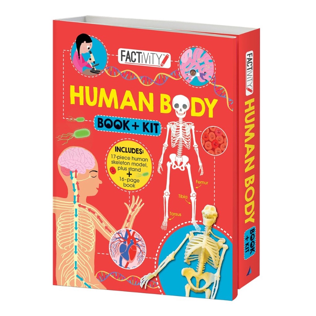 Human Body Book & Kit Boxset with Skeleton Model & Book For Kids to