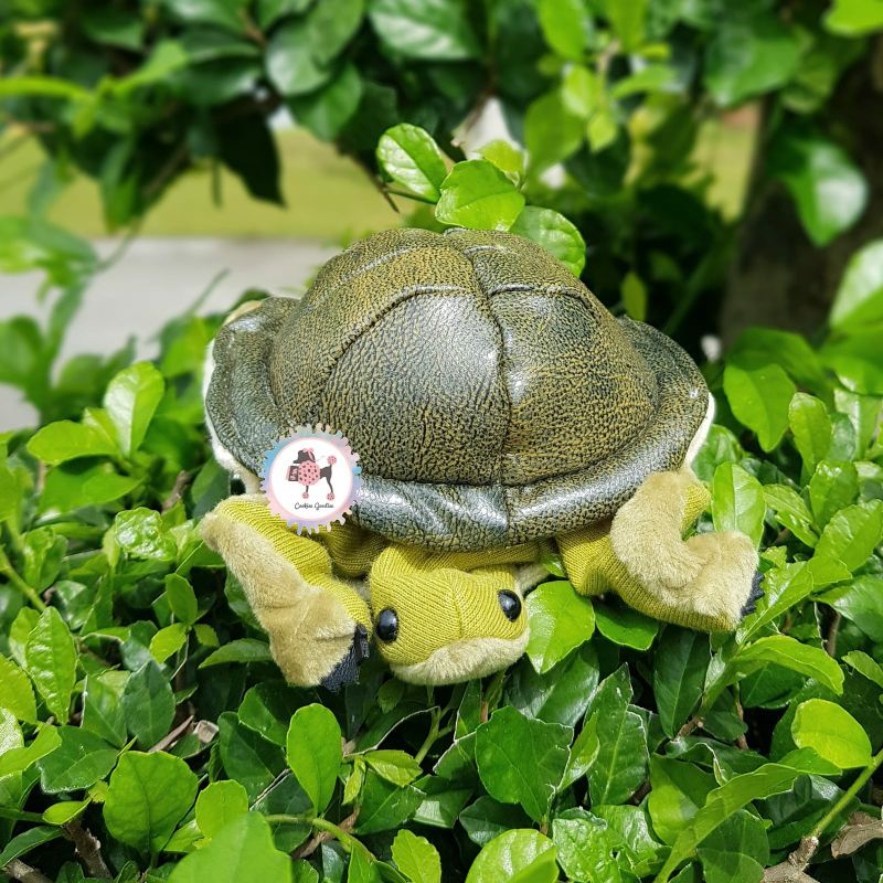 Folkmanis Marionnette à Doigt Tortue – Peluche Interactive – Jeu D’Imagination Dès 3 Ans