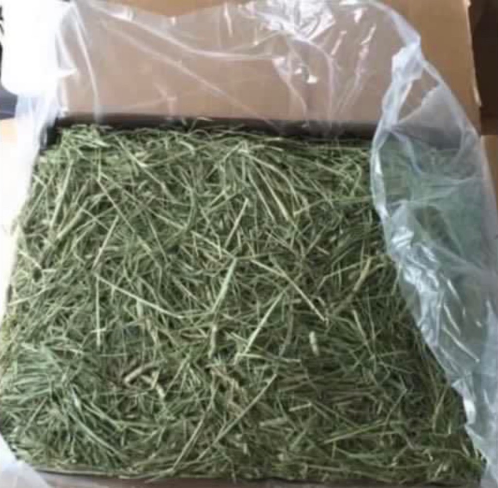 FAST DELIVERY! Fresh oxbow Timothy hay wholesale price rabbit hamster ...