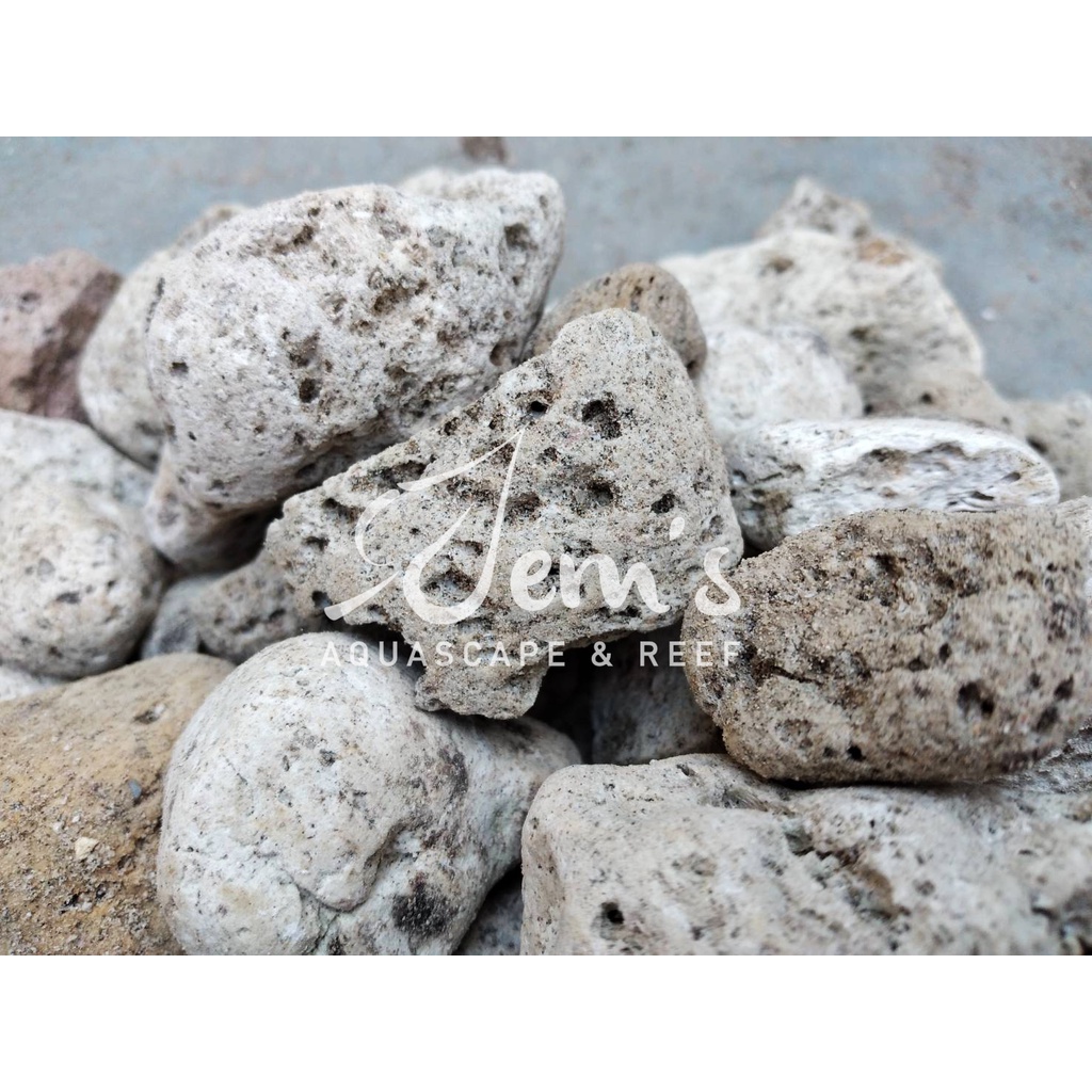 Pumice/pumice (Filter Media/Bacteria Media) Shopee Singapore