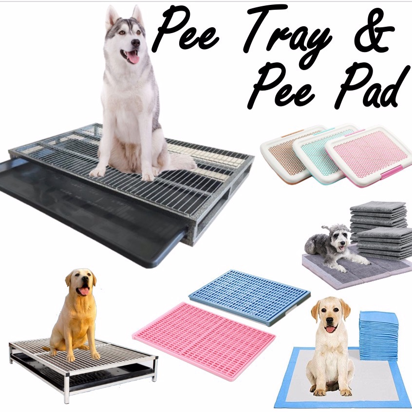 [VARIETY] Pee tray Dog Pee Tray / Dog Tray / Toilet tray / Puppy Toilet / Training Potty