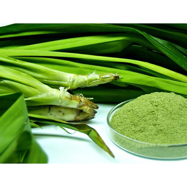 Pandan Leaf Powder 1KG / PURE Screwpine Leaf Powder / PANDAN Powder ...