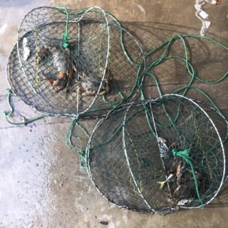 60x60cm Folding Fishing Net Small Fish Shrimp Crayfish Minnow Bait Cast  Mesh Dip Trap - AliExpress