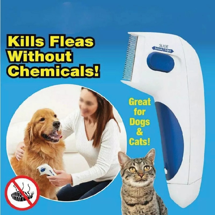 Cat flea zapper comb best sale