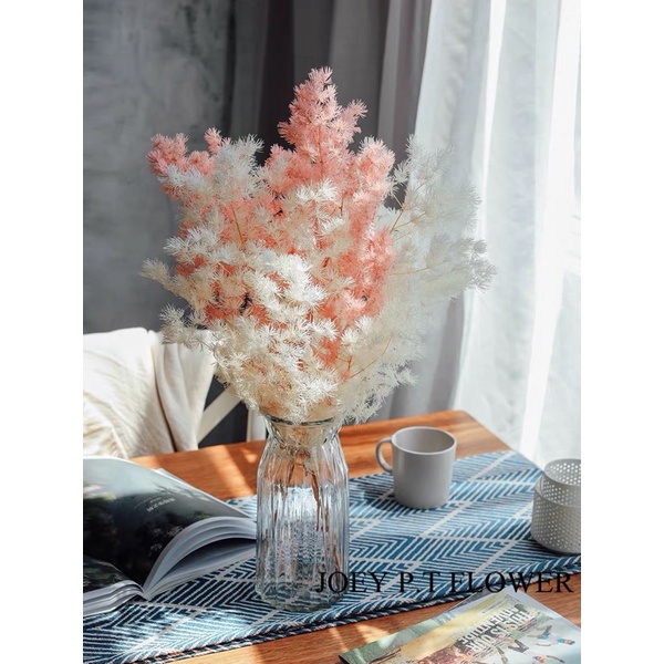 [SG READY STOCKS] Preserved Flower Wholesaler: Preserved Ming Fern (Colourful)