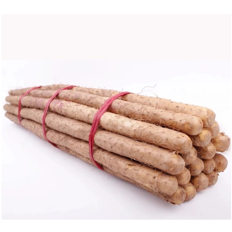 Chinese iron rod yam 1kg 中国铁棍山药1kg | Shopee Singapore
