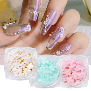3D Flower Nail Charms, 12Colors 3D Acrylic Flower Nail Rhinestones with  Gold Silver Pearl Caviar Beads Spring Small Flores Nail Art Design for DIY