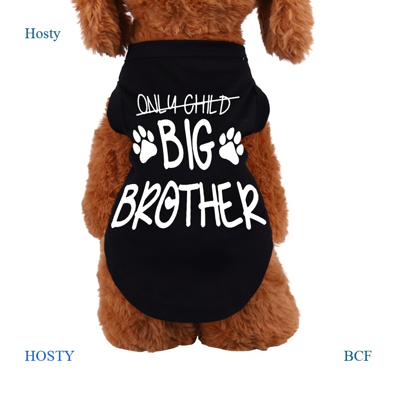 Big brother cat shirt best sale