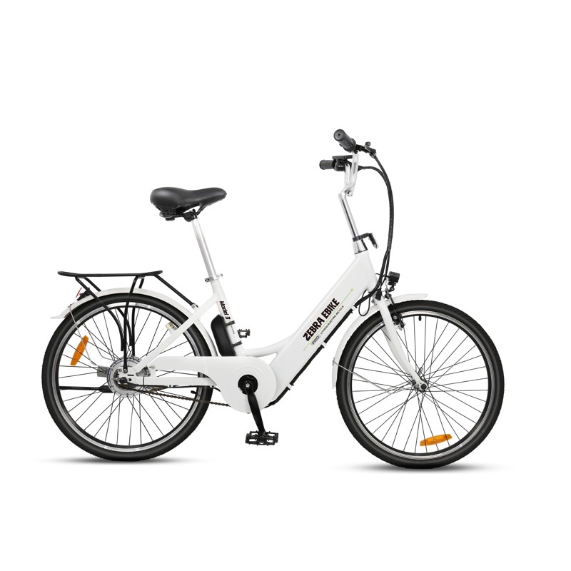 zebra ebike