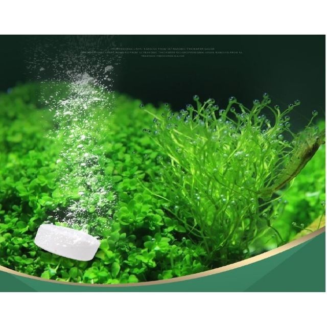 Co2 Tablets For Aquariums (36 Tablets / H) Shopee Singapore