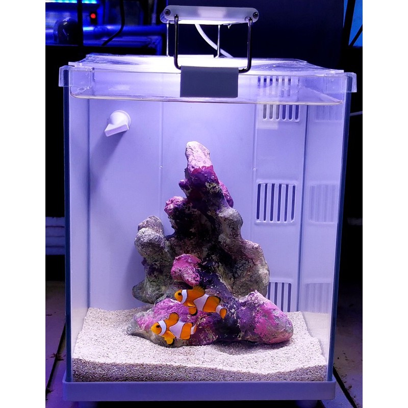 Small marine hot sale aquarium