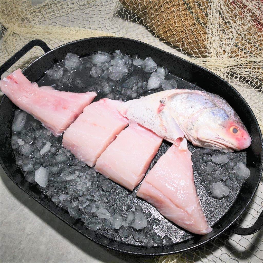 Buy song fish Products At Sale Prices Online - August 2026 | Shopee ...