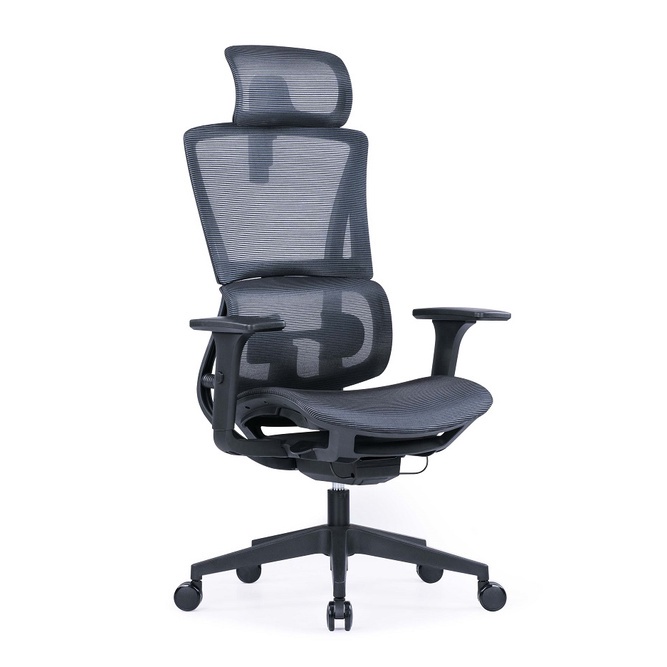 Ergoseat Free Instalation Ergonomic Office Chair Multifunctional Home ...