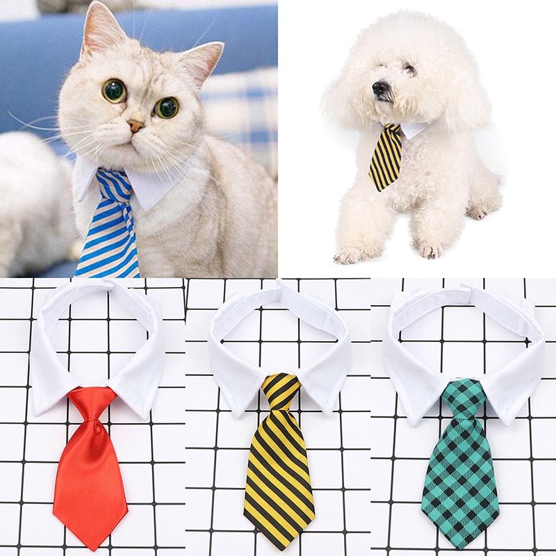 Dog neck cheap accessories