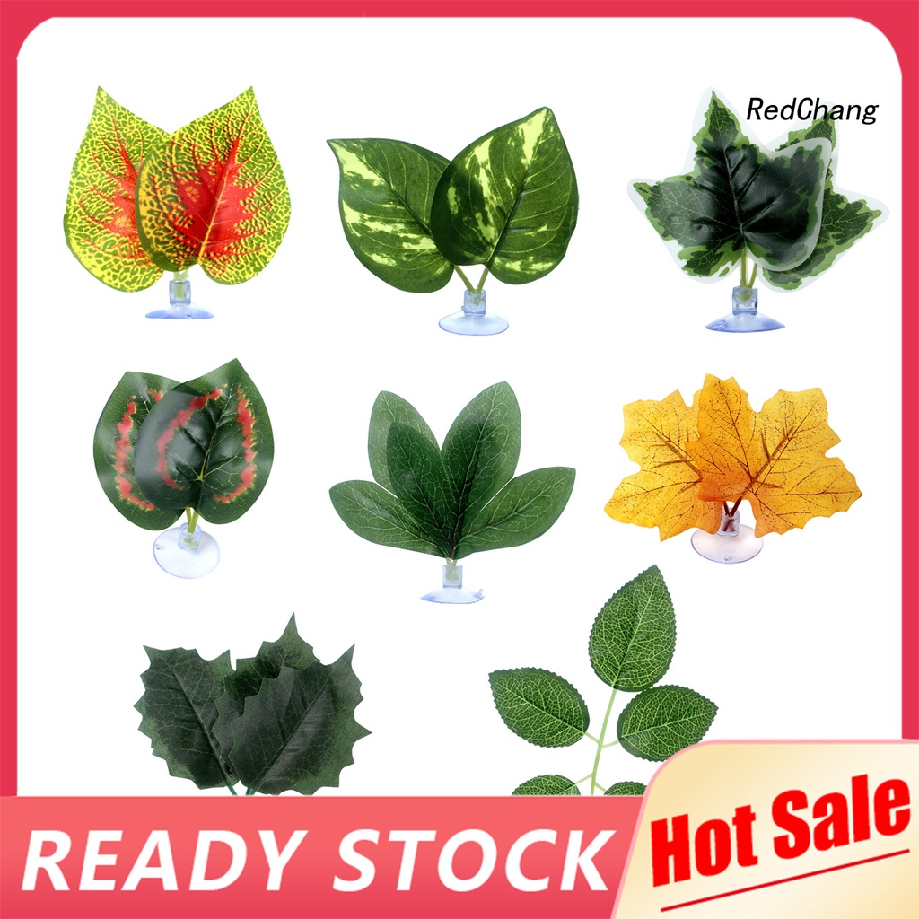 Betta leaf pad best sale