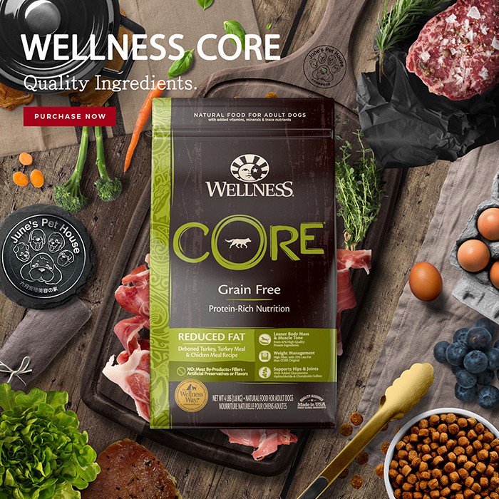 Wellness CORE Grain Free Formula Dry Dog Food Reduced Fat Shopee