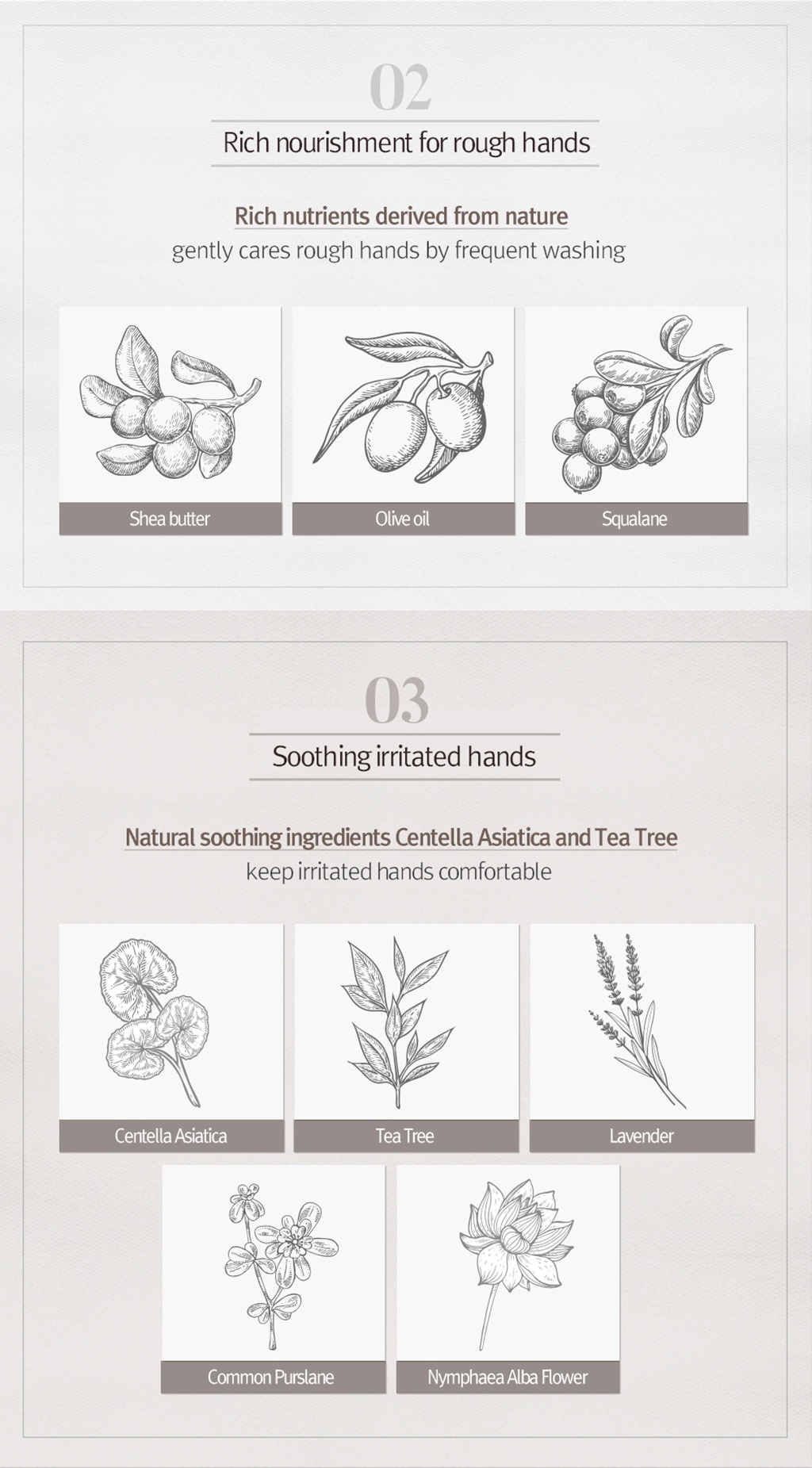 [NARD] Hand Wash, 280mlx3 Antibacterial, ZeroIrritation Shopee