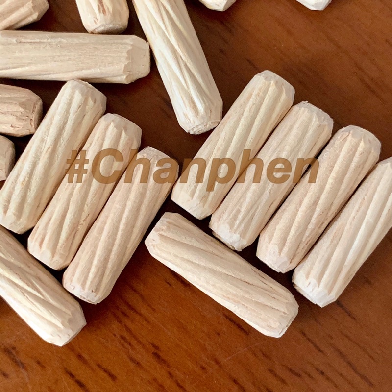 Wood Dowel (Slanted Thread) Size 5x25 Mm.(100 Pieces) | Shopee Singapore