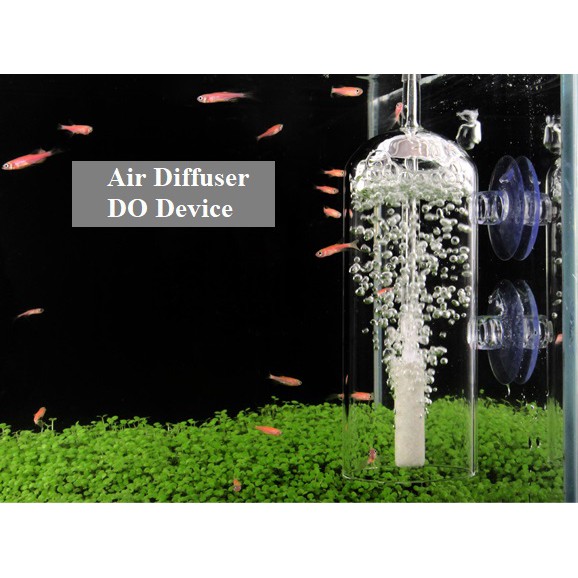 Oxygen Glass Dissolver Dissolved Oxygen Device DO device Aquarium ...