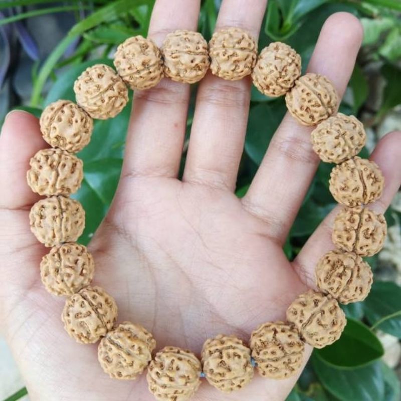 Rudraksha Original Rudraksha Bracelet Shopee Singapore