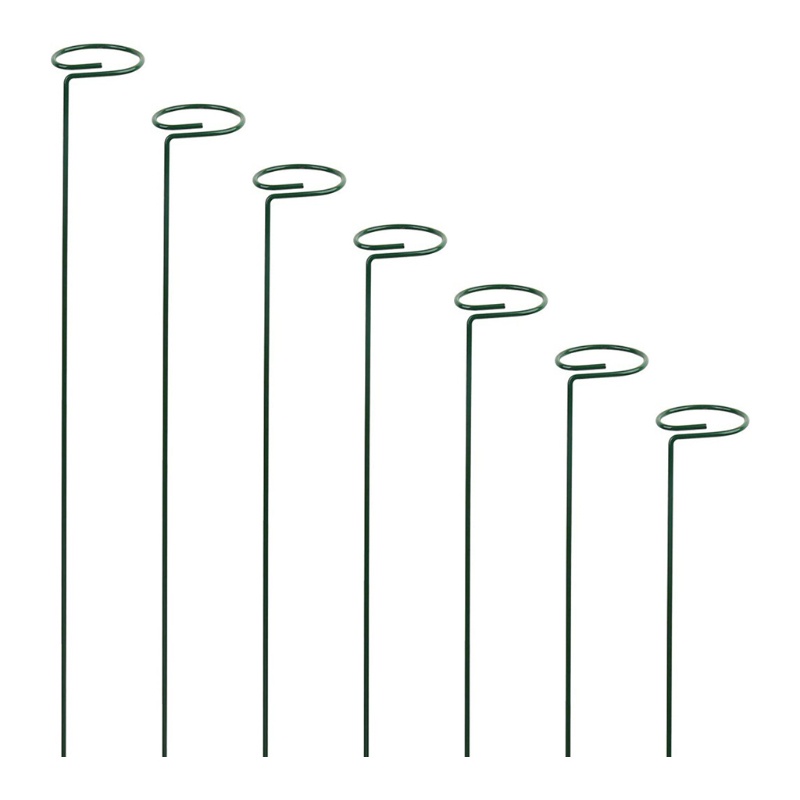 Garden Support Stake Ring Metal Garden Plant Supports Single Stem Shrub ...