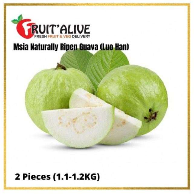 GUAVA (LUO HAN) 罗汉芭乐 1KG ++ FROM MALAYSIA 2 PCS (FRUIT) | Shopee Singapore