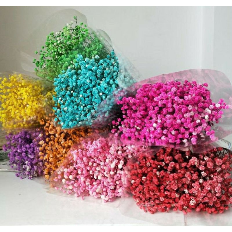 (🇸🇬 SG Shop) Preserved baby breath dried flower Color baby breath