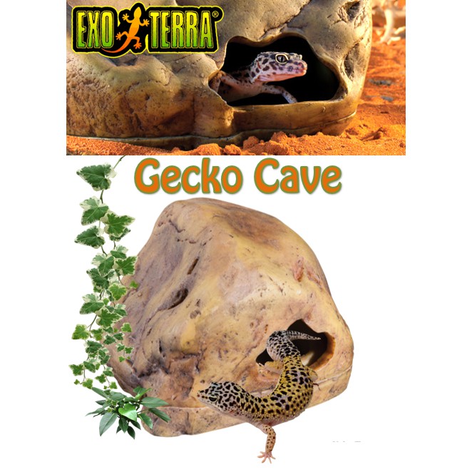 Exo Terra Gecko Cave