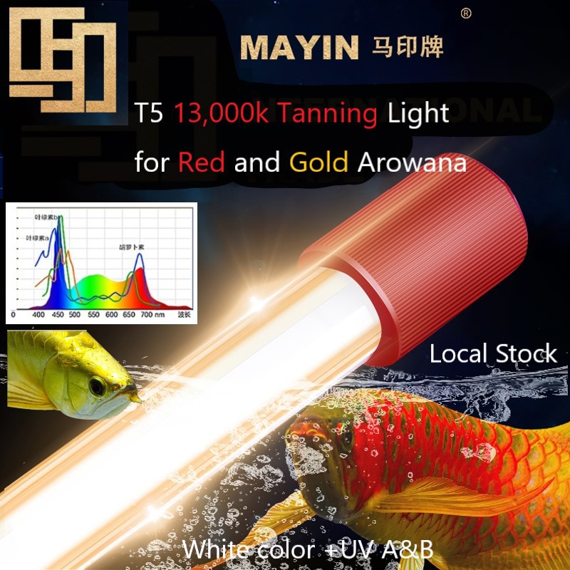 🔥Mayin Authorized SG Seller🔥 2026 model T5 13,000k Tanning light