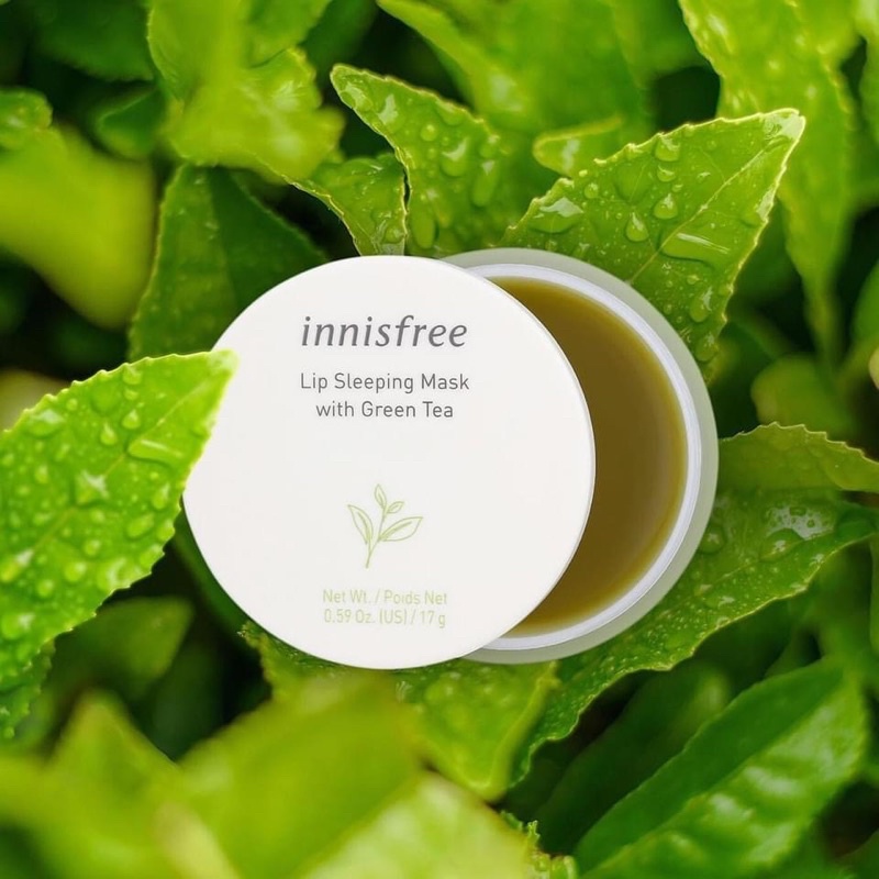 Innisfree Lip Sleeping Mask 17g (Korea) | Shopee Singapore